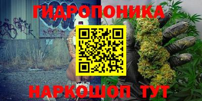 крисы Волгодонск