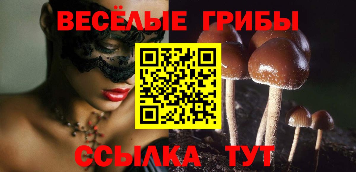 Галлюциногенные грибы MAGIC MUSHROOMS  Галлюциногенные грибы MAGIC MUSHROOMS  Чита  Вход с VPN 